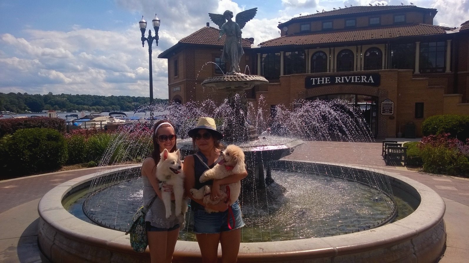 Doggy Friendly Town: Lake Geneva Edition - Nom Nom Bites